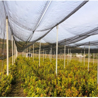 Plasa antigrindina 6 m x 10 m lungime, densitate 34 gr/m2, garantie 5 ani, tara provenienta Grecia
