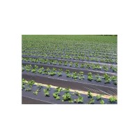 Folie mulcire neagra perforata 30 microni, Zig-Zag (15x30),dimensiune 1.2x500m lungime