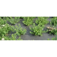 Agrotextil mulcire verde 110 g/mp, dimensiuni 1.05 latime, 100m lungime