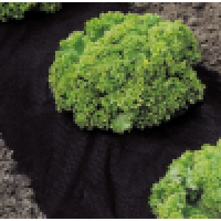 Folie microporoasa 1,6 m x 20 m dimensiune, antiinghet tip Agril, densitate 50 gr/mp