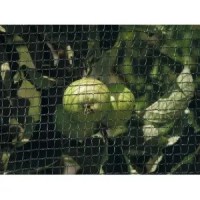 Plasa antigrindina 1 m x 200 m lungime, densitate 34 gr/m2, garantie 5 ani