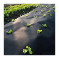 Folie microporoasa neagra pentru mulcire, 50g/mp, dimensiuni 1.6 latime, 5m lungime, pachet