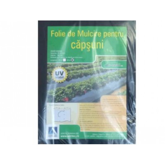 Folie mulcire capsuni, 0.8m * 100m / 15 mic / negru - Punga Folie mulcire capsuni, 0.8m * 100m / 15 mic / negru - Punga