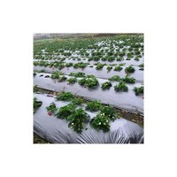 Folie Mulcire 1.2 m x 500 m, Perforata zig-Zag (30 x 40 cm), grosime 30 microni, neagra