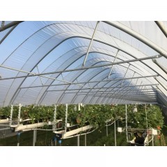 Folie Solar PolyEco, 180 Microni,10.5 m latime x15 m lungime,Import Israel