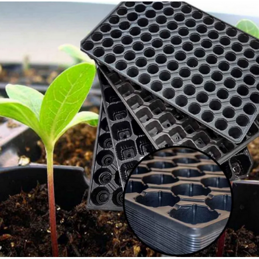 Alveole 24 celule 1 set x 10 bucati, utilizate pentru semanarea si producerea rasadului