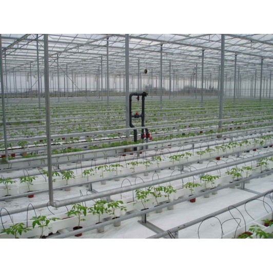 Folie mulcire alb negru neperforat 1 m x 250 m lungime, 60 microni Folie mulcire alb negru neperforat 1 m x 250 m lungime, 60 microni