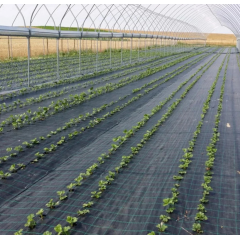 Folie Agrotextil 5.15 m latime x 50 m lungime, AntiBuruieni, densitate 100 gr/mp