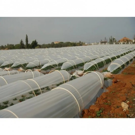 Folie Tunel 17 microni grosime, dimensiuni: 1,8 m latime x 1700 m lungime