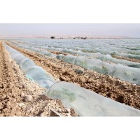 Folie Tunel 17microni Grosime, dimensiuni: 1,6 m lățime x 1500 m lungime, Stabilizată UV