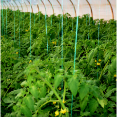 Ata pentru palisat 2400 m, sfoara legume, rosii pentru palisat, 2 kg/rola