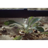 Furtun Picurare Ø16 , 70 cm distanta intre duze, 4 l/h,50 ml