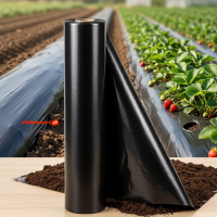 Folie mulcire 0.8 m x 2400 m lungime, negru, densitate 15 microni, previne cresterea buruienilor