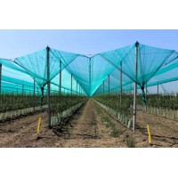 Plasa antigrindina 3 m x 50 m lungime, densitate 34 gr/m2, garantie 5 ani Plasa antigrindina 3 m x 50 m lungime, densitate 34 gr/m2, garantie 5 ani