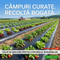 Folie neagra mulcire, neperforata, dimensiuni: latime: 0.8 metri x lungime 500 metri