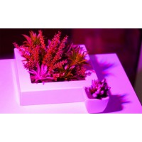 Lampă cu 200 LED-uri pentru creșterea plantelor