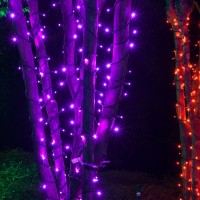 Instalație liniară fir luminos cu flash magenta mov violet purpuriu 30 metri