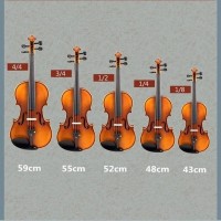 Vioara clasica, Lemn, Marime 4/4, Doua arcusuri, Toc inclus Vioara clasica, Lemn, Marime 4/4, Doua arcusuri, Toc inclus