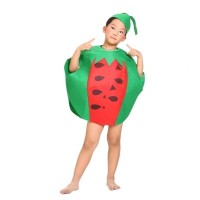 Costum fruct Pepene, DEPOX®, verde, marime universala