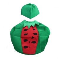 Costum fruct Pepene, verde, marime universala