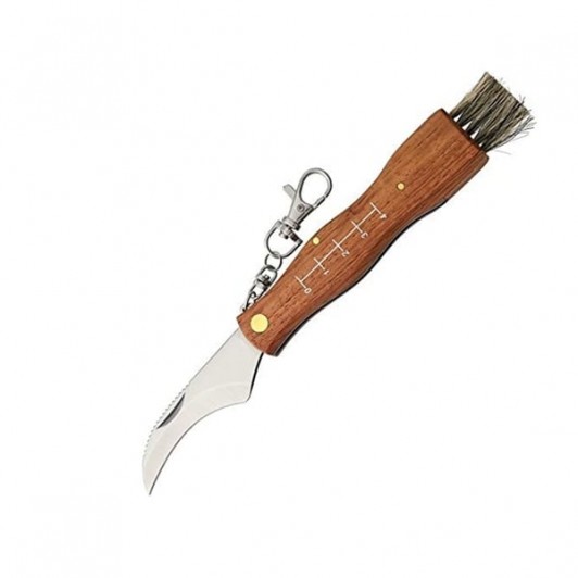Briceag pentru ciuperci, otel inoxidabil, cu perie, maner din lemn, 21 cm, maro Briceag pentru ciuperci, otel inoxidabil, cu perie, maner din lemn, 21 cm, maro