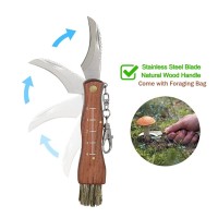 Briceag pentru ciuperci, otel inoxidabil, cu perie, maner din lemn, 21 cm, maro Briceag pentru ciuperci, otel inoxidabil, cu perie, maner din lemn, 21 cm, maro