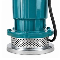 Pompa Apă Curată Submersibilă, Fontă, cu Plutitor Automat, 750 W, Refulare 32 m, Absorbție 28