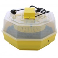 Set Moară Electrică CAMPION 3.8 kW si Incubator CLEO 5 DEPOX®, galben/albastru Set Moară Electrică CAMPION 3.8 kW si Incubator CLEO 5 DEPOX®, galben/albastru