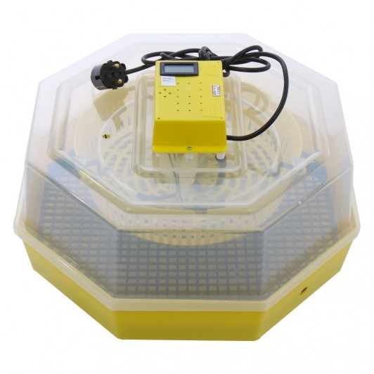 Incubator electric pentru oua, Cleo 5TH, termometru si termohigrometru, galben