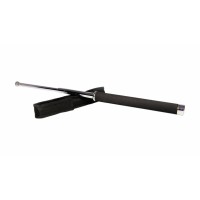 Set baston telescopic 65 cm argintiu + box-rozeta craniu auriu
