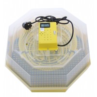 Incubator electric pentru oua cu termometru, Cleo, model 5T
