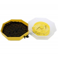 Incubator electric pentru oua cu dispozitiv intoarcere, Cleo, model 5D