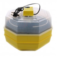 Incubator electric pentru oua cu dispozitiv dublu de intoarceresi termometru, Cleo, model 5X2-DT