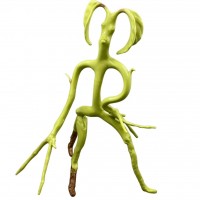 Figurina Harry Potter, Bowtruckle Friend, editie de colectie, 18 cm