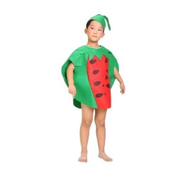 Costum fruct Pepene, verde, marime universala