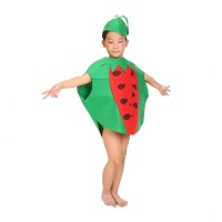 Costum fruct Pepene, verde, marime universala