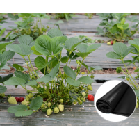 Folie mulcire neagra perforata latime 1,4 m, lungime 20 m, grosime 30 microni