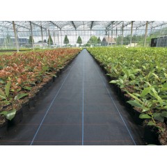 Plasa agrotextil anti-buruieni  latime 1.6 m,lungime 25 metrii