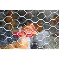 Pachet rola rabit 1mx25metriix0.53 mm grosime cu rola sarma 1.5mm grosime lungime 30 metrii