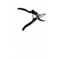 Foareca universala pentru vie,ramuri,flori