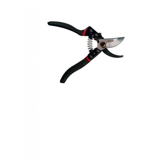 Foareca universala pentru vie,ramuri,flori