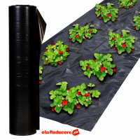 Folie mulcire neagra perforata latime 2m,lungime 50m, grosime 22.5 microni