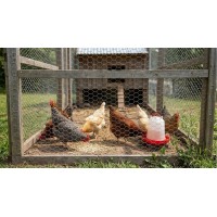 Plasa Rabitz Zincata, dimensiuni: latime 1 metru x lungime 50 metri, grosime fir 0.67 mm