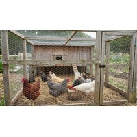Pachet rola rabitz 1 m x 25 m x 0,80 mm grosime + rola sarma 1.5 mm grosime x 30 metri lungime
