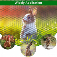 Plasa Rabitz Zn plastifiata 1X10 m - 3/4'' (19 MM) X 1.0/0.6 MM