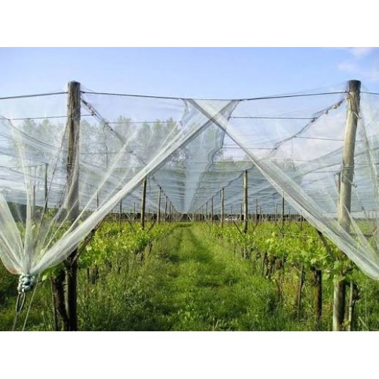 Plasa Anti-Grindina lungime 50m,latime  2m,greutate 60g/mp