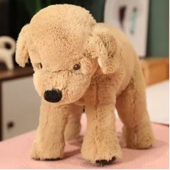 Catelus de plus, golden retriever, 40 cm