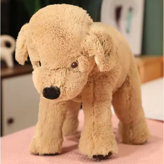 Catelus de plus, golden retriever, 40 cm