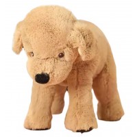 Catelus de plus, golden retriever, 40 cm