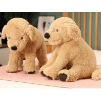 Catelus de plus, golden retriever, 40 cm